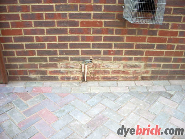 Before Dyebrick 1.jpg